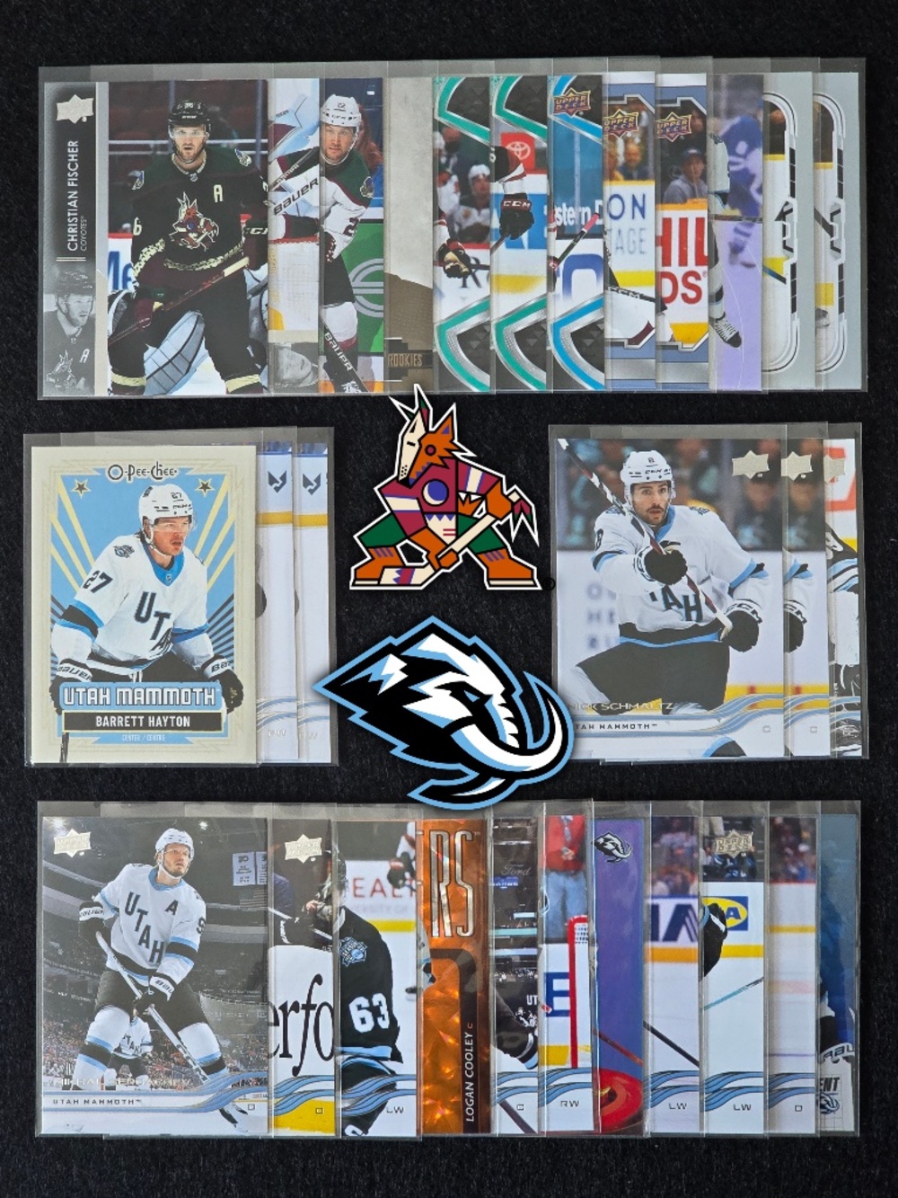 🐺🦣 25+ Arizona Coyotes / Utah Mammoth NHL Trading Card Lot